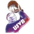 Union Sportive de Villejuif Basket